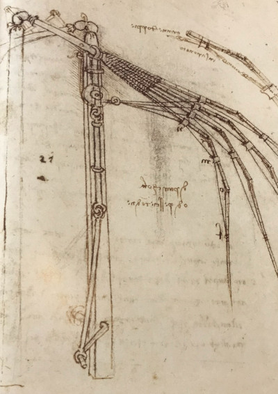 davinci ornithopter sketch