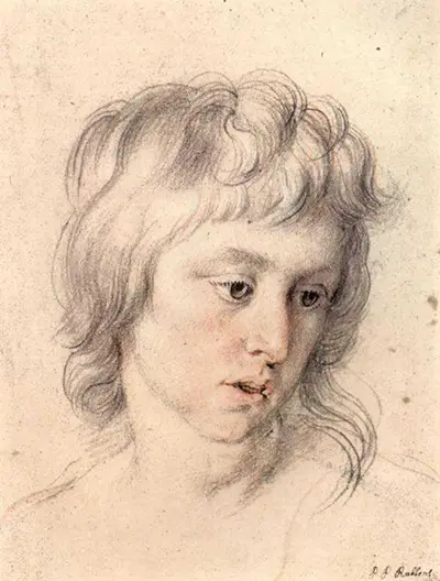 Peter Paul Rubens the Fall of the Dammed Preparatory Sketch - Etsy Israel