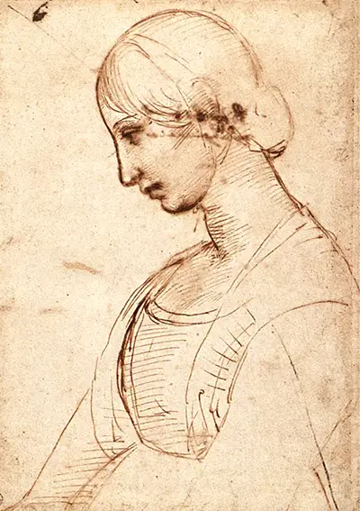 Albrecht Dürer  Head of a Young Woman  The Metropolitan Museum of Art